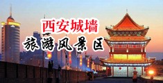 啊,好爽,操逼视频,大鸡巴中国陕西-西安城墙旅游风景区